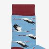 Socks Storks